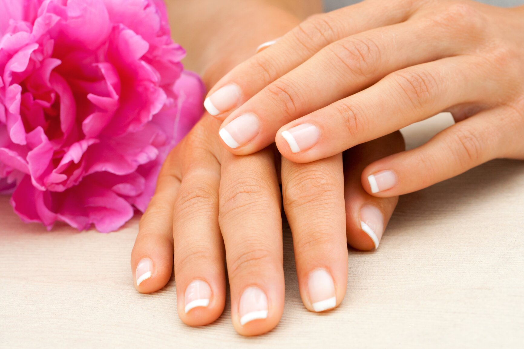 Macro close up of female hands with french manicure.